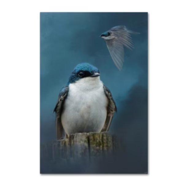 Jai Johnson 'The Beautiful Tree Swallow' Canvas Art, 22x32, Trademark Fine Art, Mfr#: ALI14380-C2232GG